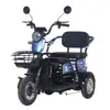 Exportação Atacadista de Fábrica Transfronteiriça de Veículos de Mobilidade de Lazer para Adultos e Idosos, Triciclos Elétricos Mini Domésticos
