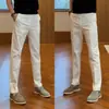 Estilo em Alta no TikTok no Verão: Calça Casual Reta Levemente Elástica, Limpa e Organizada, Luxo Discreto, Alta Qualidade, Confortável e Simples