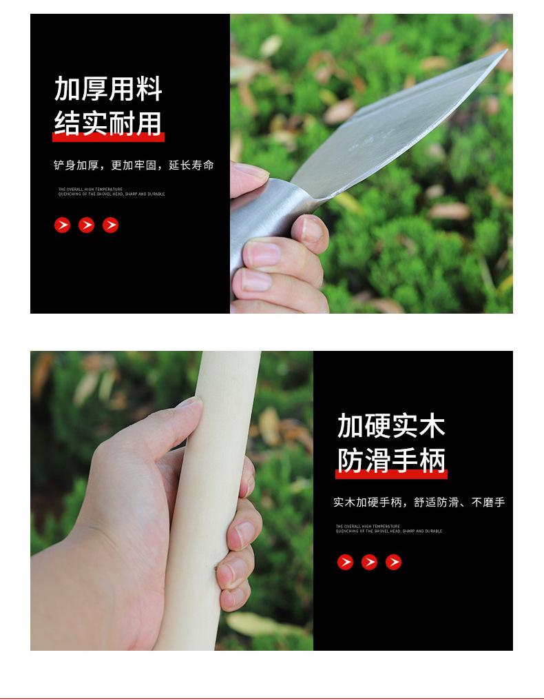 详情_08.jpg