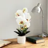 Arreglo de Oficina en Maceta Vertical de Tiras Nuevas Phalaenopsis Transfronterizo Flor Artificial Simulada Bonsái de Flor Artificial Adornos de Escritorio