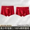 Roupa Íntima para Adolescentes Algodão Puro Tipo a Algodão Outono e Inverno Meninos de 15-18 Anos Período de Desenvolvimento Ano Animal Vermelho Cueca Boxer Calças Tamanho Grande