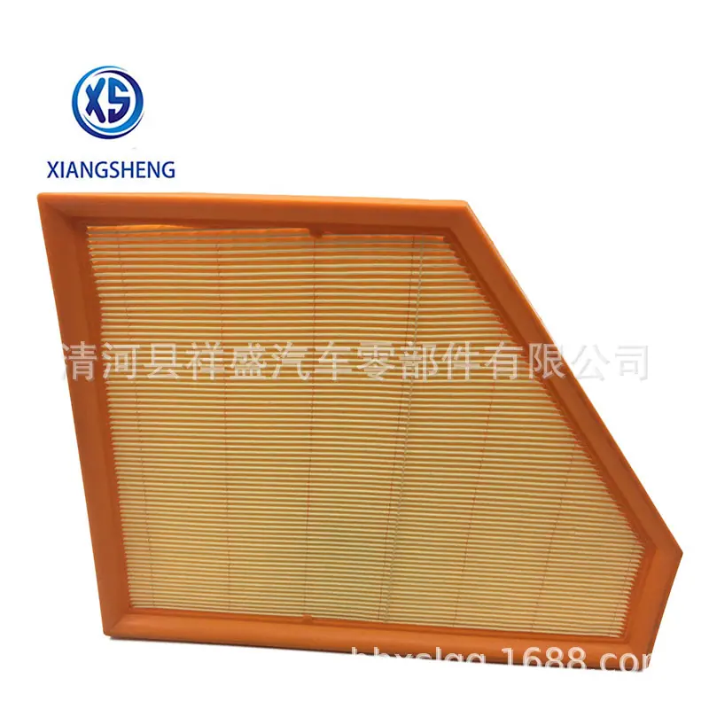 Air filter-13717548897 (1)