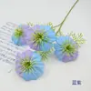 Clematis Artificial Estilo Europeu Flor Única Falsa Flor de Lótus Diamante Arranjo de Flores de Mesa Adereços Decoração de Quarto de Casamento Arte Floral