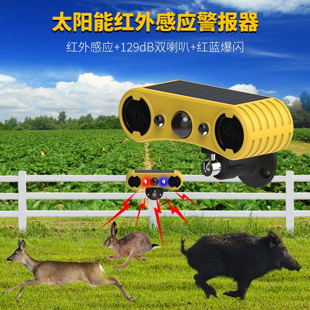 911W-外贸详情_01