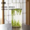 Vaso de Agua Cuadrado de Vidrio con Popote, Estilo Ins, con Marcas de Medición, Vaso Resistente al Calor para Uso Doméstico, Vaso de Alta Estética con Impresión de Té de Frutas para Niñas