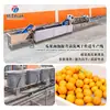Línea de Producción de Transmisión para Frutas y Verduras de Remojo Previo, Limpieza y Secado al Aire Máquina de Limpieza con Burbujas para Frutas y Verduras Secador de Aire