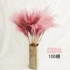 Caña Pequeña Natural Flores Secas Flores de Caña Hierba Cola de Perro Ramo DIY Puesto Boda Decoración de Boda Flores Festivas