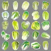 50 Peças de Adesivos de Cartoon de Repolho Vegetal Verde Comida Folhas Verdes Impermeável Decorativo Caderno Adesivos Guka Atacado