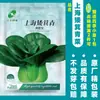 Dropshipping de semillas de verduras de otoño e invierno: espinaca, cilantro, semillas de bok choy, cebollín de cuatro estaciones, apio, cebolleta y semillas de puerro
