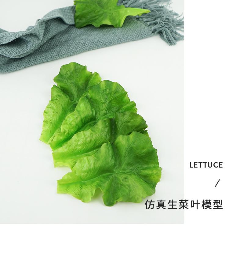 仿真生菜叶