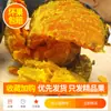 Abóbora Bebê Sabor Castanha de Liaocheng Autêntica Abóbora Bebê Castanha 3- 2,5-4,5kg Abóbora Velha Legumes Frescos Huihe