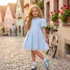 Nuevo producto transfronterizo: Ropa para niños, vestido para niñas, vestido jacquard 3D para niñas pequeñas, vestido de princesa francesa para niños