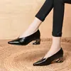 Comercio Exterior Transfronterizo Primavera y Otoño Punta Puntiaguda Apertura en Forma de V de Moda Versátil Tacón Alto Elegante Cómodo Versátil Cuero Genuino Tacón Medio Zapatos de Salón