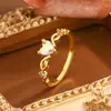 Anel de Pedra da Lua Fashion de Luxo Leve para Mulheres, Estilo Ins de Luxo Leve, Design de Nicho, Anel Aberto Exquisito Elegante