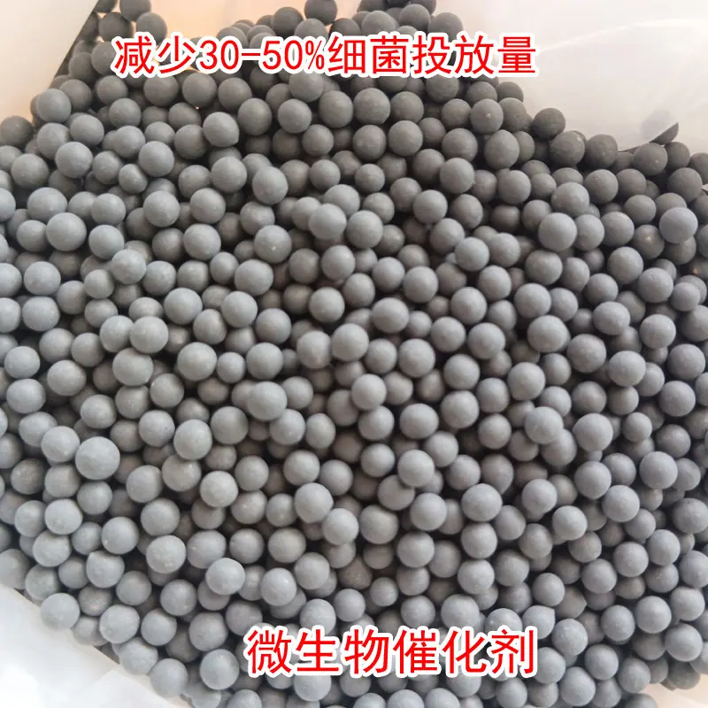 厌氧菌微生物催化剂 (1) 拷贝.jpg
