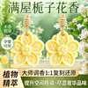 Hojas de cera aromática de yeso, herramienta mágica de fragancia para interiores, fragancia de larga duración, ambientador de coche, hojas de cera aromática premium, eliminador de olores