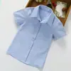 Camisas Brancas de Menino, Camisas Brancas Infantis, Uniformes Escolares Brancos, Roupas para Apresentação, Camisas Brancas Infantis, Mangas Compridas Primavera & Outono