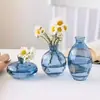 Juego de Tres Piezas de Jarrón de Vidrio Transparente Color Dorado Pintado de Lujo Ligero Nuevo Transfronterizo Arreglo Floral Dispositivo Hidropónico para Flores Adornos Artesanales