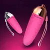 Vibrador Sem Fio de Frequência Única Jinle Xinmei Xinyue, Vibrador Sem Fio para Mulheres, Dispositivo de Automassagem, Brinquedo Sexual para Adultos
