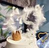 Venta al por mayor Hermosa y Variedad Decoración de Pastel de Plumas de Celebridad de Internet Inserto para Pastel de Cumpleaños Decoración de Amor para Pastel Inserto