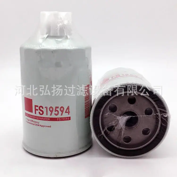 FS19594