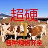 Cepillo para Vaca Personalizado para Frotar la Picazón Artefacto para Rascar Vacas Cepillo Eléctrico para Masaje Anti-Picazón para Vaca Cepillo Grande de Columna para Cuerpo de Vaca Cerdas Duras