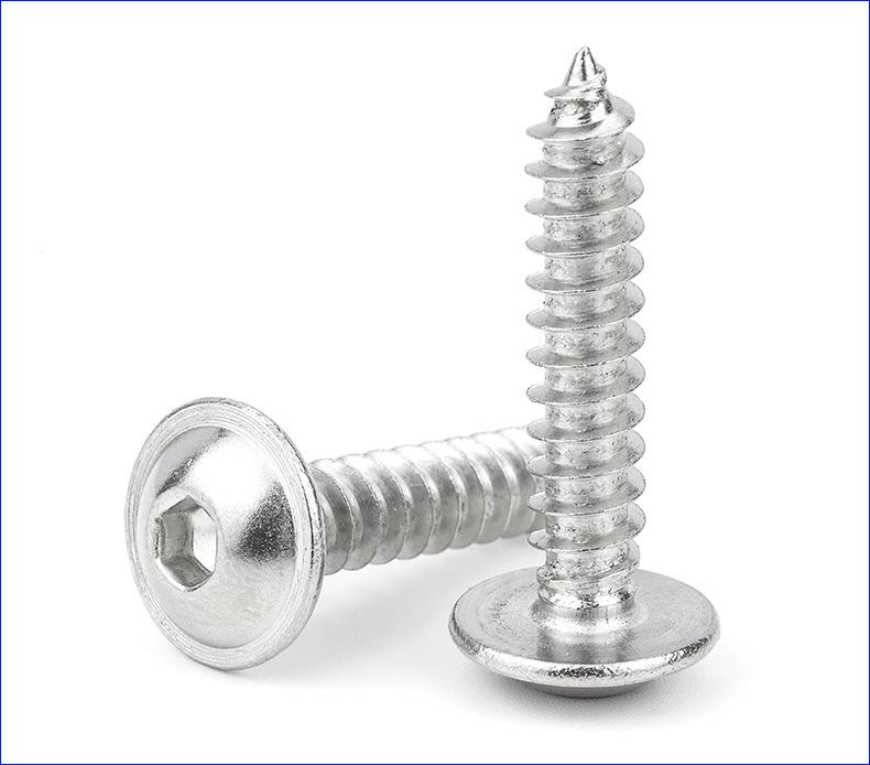 圆头带垫内六角自攻螺丝 (2).jpg