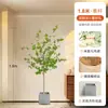 Planta Artificial Madeira de Cavalo Verde Planta Falsa Planta em Vaso Peça Decorativa Grande para Sala de Estar Campanula Japonesa Bonsai Artificial