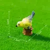 Paisaje en miniatura, figuras creativas y realistas de loro y oso negro, adorables decoraciones de jardín, adornos para manualidades, accesorios para colgar, piezas decorativas pequeñas