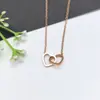 Collar de Acero Inoxidable para Mujer Joyería de Nicho Versátil Colgante de Cobre Cadena Elegante para Clavícula Joyería Cadena de Lujo Ligero