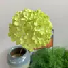 2026 Nuevo Modelo Plantas Verdes Artificiales Hierba de Espárrago Asparagus Asparaginea Decoración de Boda Flores Falsas Verdes Paisajismo Fotografía Plantas Verdes Estilo Bosque