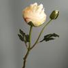 2 Aberto Lotus Peônia Cebola Rosa Casa Modelo Decoração de Quarto Fotografia de Casamento Adereços Flores Artificiais