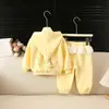 Conjunto de Dos Piezas para Niña, Moda Primavera y Otoño, Lindo Sudadera con Capucha y Pantalones Casuales para Bebé