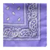 Bufanda de Poliéster con Estampado Paisley para Amazon Transfronterizo Estilo Hip-Hop Pañuelo para la Cabeza de Street Dance Bufanda Hip-Hop Europea y Americana Estilo Delgado de Verano