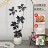 Planta Artificial Verde Grande Black Diamond Árbol de Goma Planta en Maceta de Interior para Sala de Estar Decoración de Planta de Árbol Imitación de Lujo Ligero de Gama Alta
