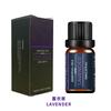 Capim-limão laranja doce tea tree único quadrado aromaterapia óleo essencial eucalipto Hortelã Lavanda planta pura único quadrado aromaterapia óleo essencial