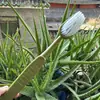 Formato de escova de dentes grande ESCOVA DE BANHO esfoliante de banho costas escova de dentes grande pendurar limpeza de banho escova macia