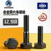 Juego de Tornillo y Tuerca de Sujeción de Alta Resistencia Hexagonal Exterior Grado 12.9, Varilla Roscada, Perno Hexagonal de Acero de Aleación de Alta Resistencia