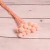 [Vila Zanhua] Yongsheng Flor Bola Dourada Flor Seca Yunnan Buquê Fruta Seca Planta Multicolorida Flor Seca Real Atacado
