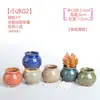 Maceta para pulgar suculenta mini mini maceta para pulgar maceta de cerámica para flores suculentas planta creativa flor pequeña Ma Long mesa Mai Tai Bao