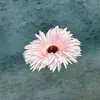 Flores Artificiales de Gerbera y Crisantemo, Dianthus Africano, Materiales Florales Hechos a Mano para DIY, Flores de Muñeca para Ropa, Decoraciones Artificiales Florales Transfronterizas al por Mayor