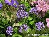 Nueva hortensia de madera verde simulación 3 cabezas hortensia de madera blanco púrpura bola de nieve boda jardín suave flores falsas al por mayor