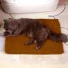 Cama Caliente para Perros, Cama para Mascotas de Lana de Cordero, Adecuada para Gatos y Perros, Engrosada para Invierno