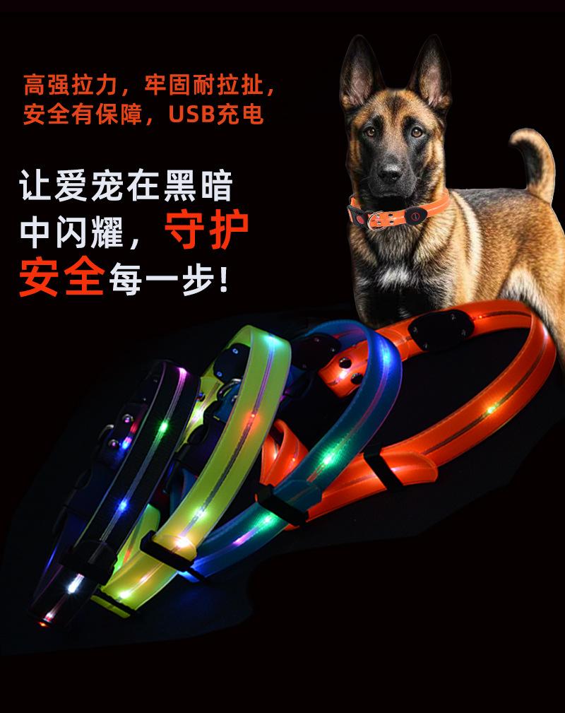 发光项圈