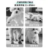 Meias Personalizadas para Cachorro Transfronteiriças, Meias para Pets para Todas as Estações, Meias de Algodão Antiderrapantes para Cães Médios e Grandes, Protetores de Pata, Suprimentos para Pets