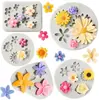 Molde de Silicona para Decoración de Fondant, Horneado de Pastel de Chocolate - Margarita, Girasol, Rosa, Hoja
