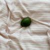 Estilo sem estampa nova versão AB de fio de algodão com agulha perfurada tingido em fio jacquard conjunto de quatro peças de roupa de cama de algodão Nantong têxtil para o lar