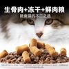 Escolhe comida de gato osso cru e carne feitiço duplo comida de gato de carne fresca congelada pelo inglês curto leite para gatinhos seco gato de alto teor de proteína preço integral comida básica para gatos