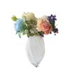 Estilo Ins Simples Retrô Antigo Vaso de Vidro Hidropônico Flor Flor Aparelho de Flores Decoração de Casa Desktop Adereços Decorativos