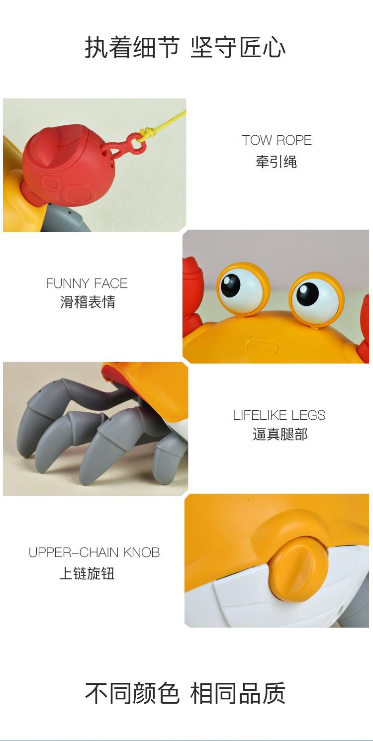 水陆螃蟹
